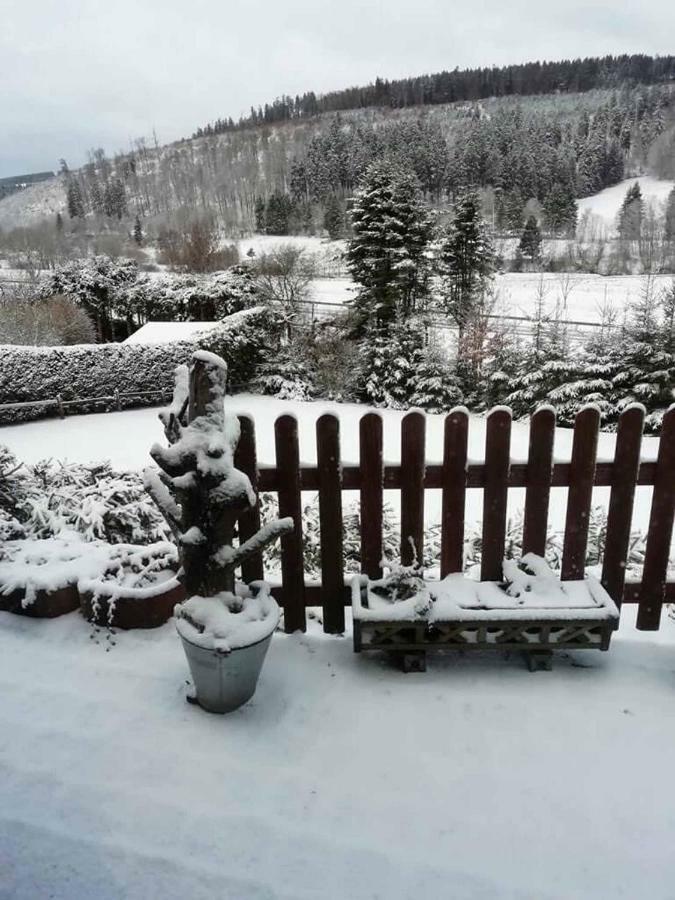 Haus Ani Winterberg Villa Eksteriør bilde